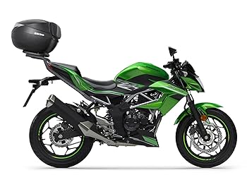 4本セットで出品です。 写真5枚】Kawasaki Ninja ZX-6R 40th Anniversary Edition - web